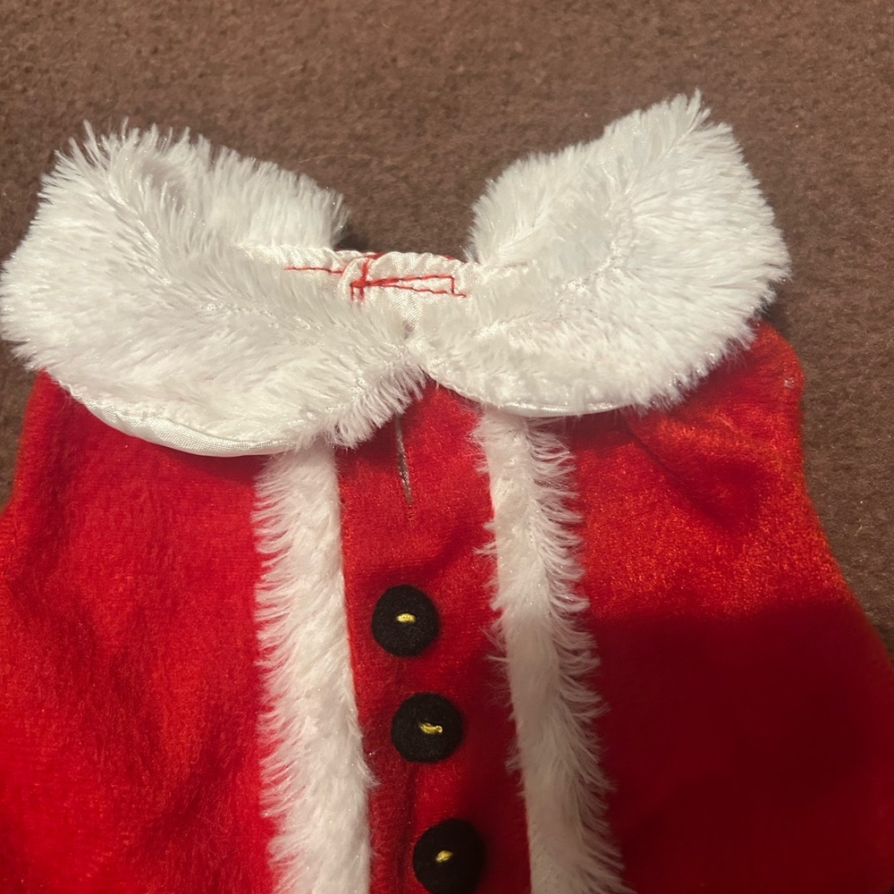 Red Santa Dog Dress with White Trim - Picture 4 of 15